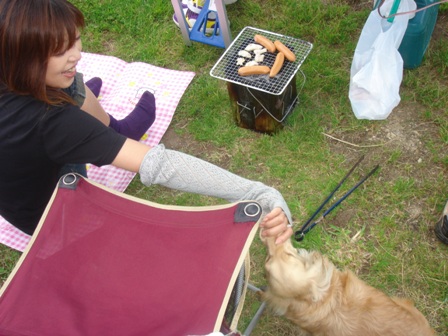 ２０１４年３月以前の写真 - 850