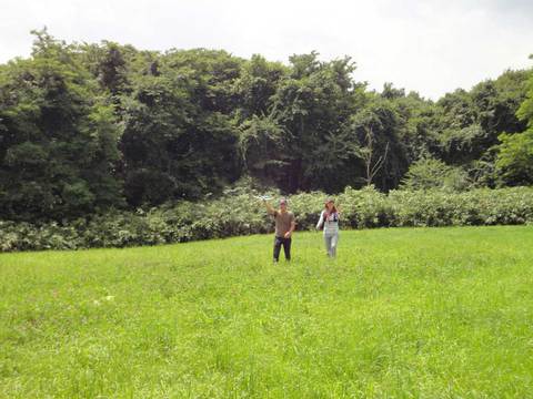 ２０１４年３月以前の写真 - 864