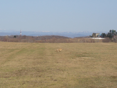 ２０１４年３月以前の写真 - 545