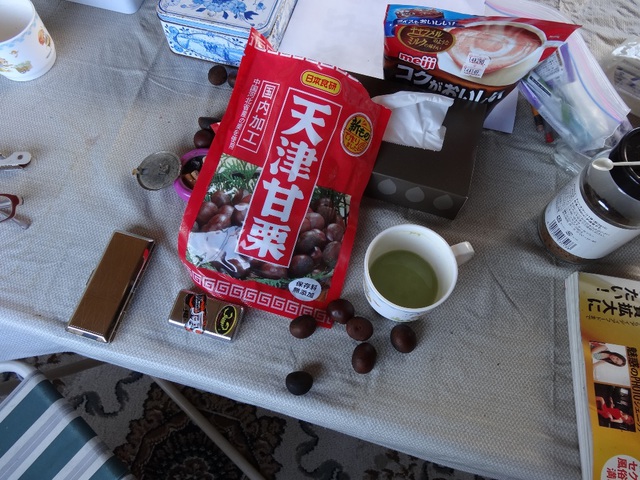 ハイハイ・・