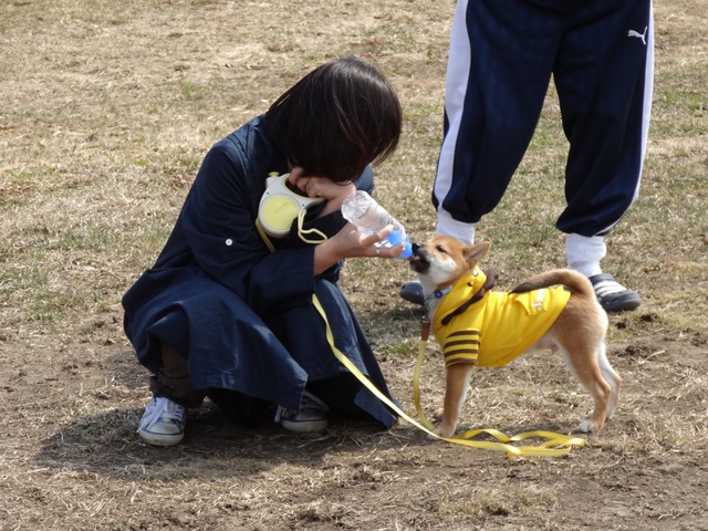 会長は・・