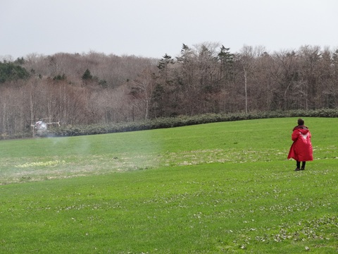 ２０１４年３月以前の写真 - 1089