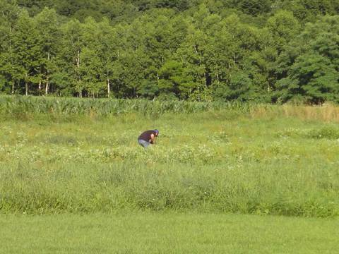 ２０１４年３月以前の写真 - 589