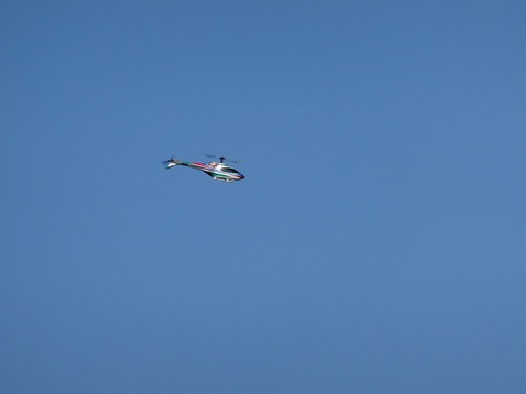 ２０１４年３月以前の写真 - 1289
