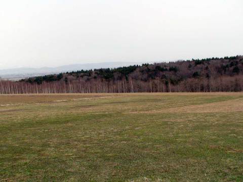 ２０１４年３月以前の写真 - 542