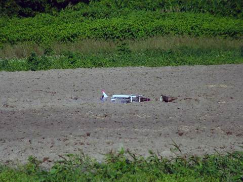 ２０１４年３月以前の写真 - 1567