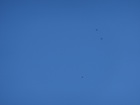 むむっ・・