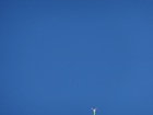 会長は・・